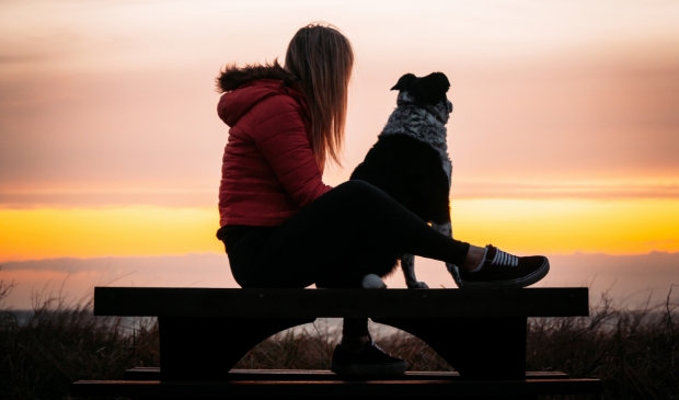 Natasja vond rust bij het uitlaten va honden