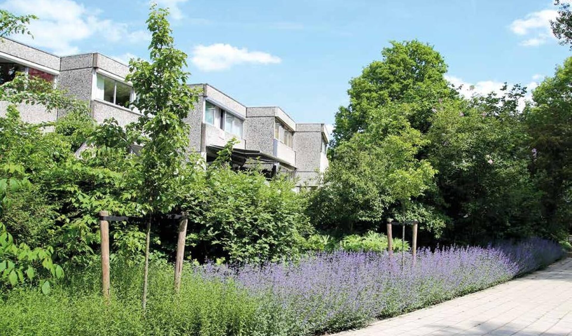 In de wijk Rozendaal (Eurowoningen) is het Buurtteam aan de slag gegaan met de energietransitie