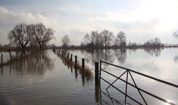 Hoog water in de Avelingen