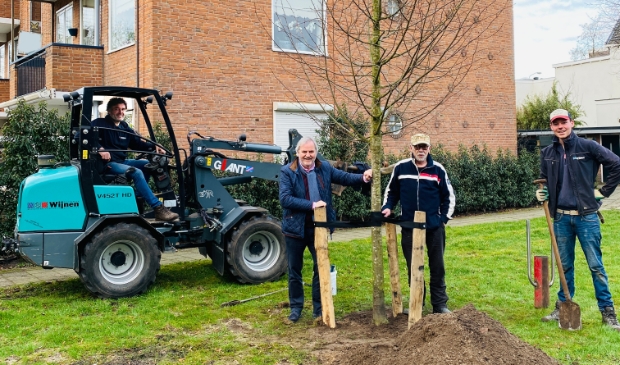 Plaatsing van een extra boom bij De Engh in het dorpscentrum onder toeziend oog van Rijk Nellestijn (Kunsthagen), THW-bestuurslid Bram Brinkman en het team van Wijnen Tuinen