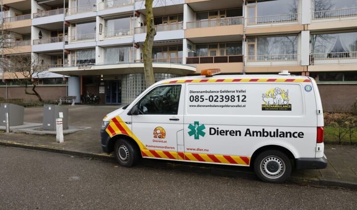 Afbeelding