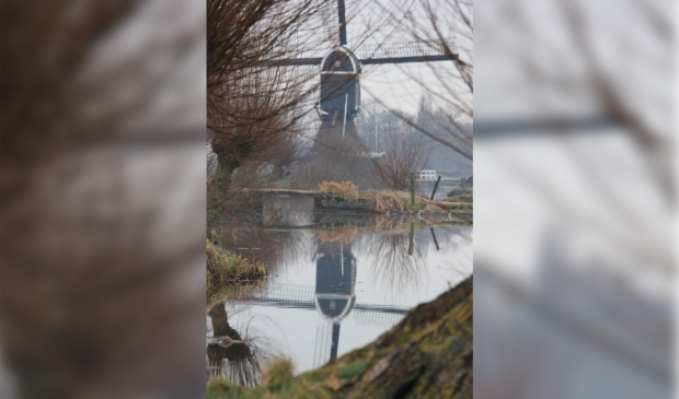 Ik kan het niet laten. Nog eentje dan. Een bespiegelend moment.