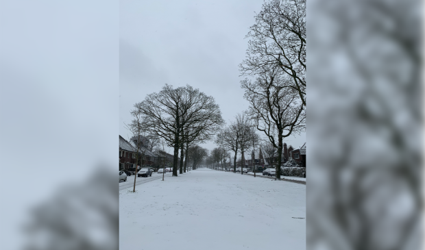 Haarsekade met sneeuw