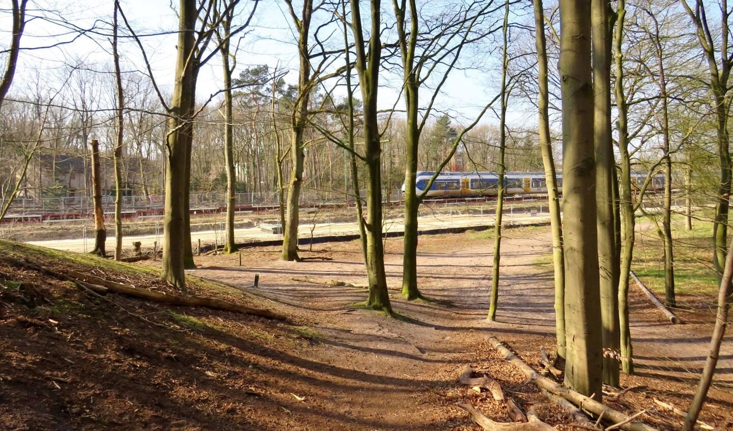 De Sprinter vanuit Hilversum richting Baarn