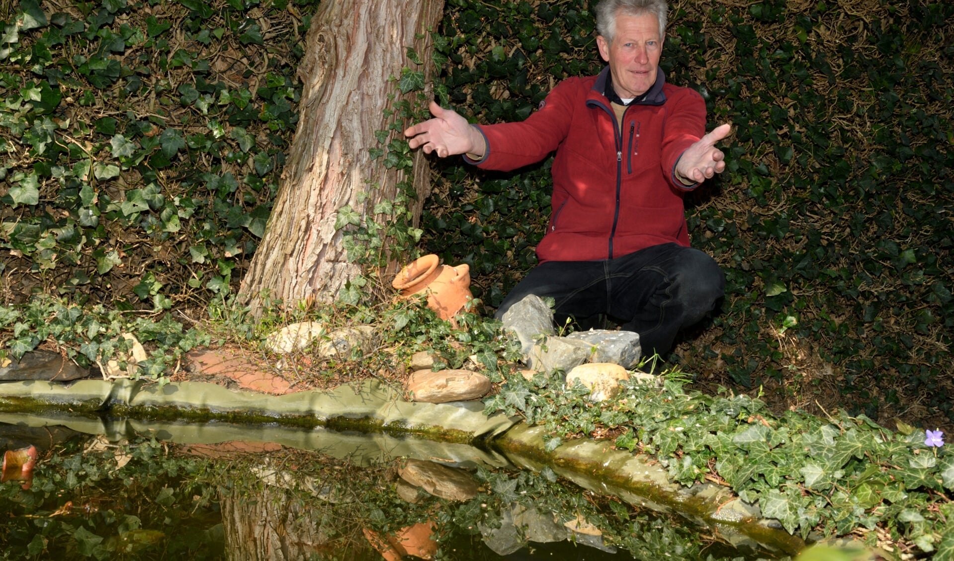 Jan Groenevelt bij de vijver in zijn tuin waar de sperwer een houtduif doodde.