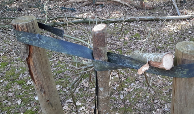 doorgezaagde boom