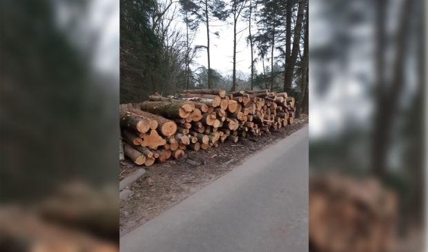 Deel bomenkap europarcs