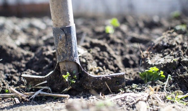 <p>Men zoekt vrijwilligers die lichte tuinwerkzaamheden willen verrichten</p>