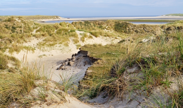 <p>Stichting Duinbehoud wil graag weten hoe belangrijk de duinen zijn voor recreanten en inwoners.</p>