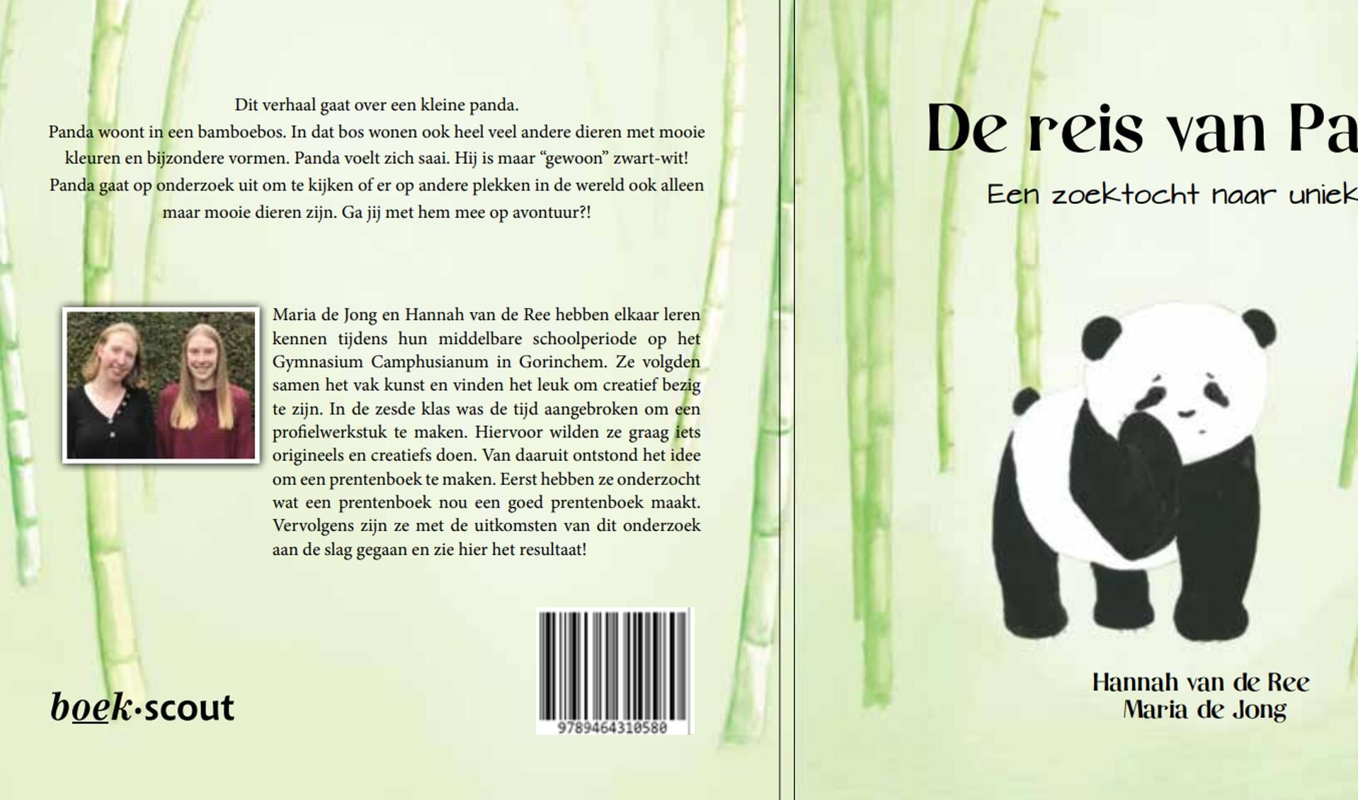 Cover van het boek 'De reis van Panda'