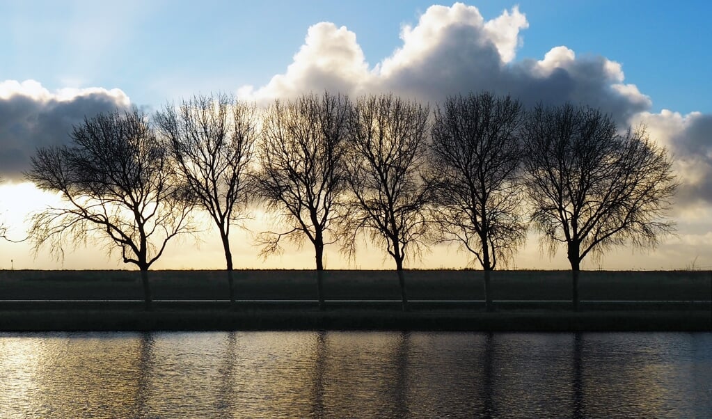Polderlinten zijn bepalend voor de sfeer van Haarlemmermeer.
