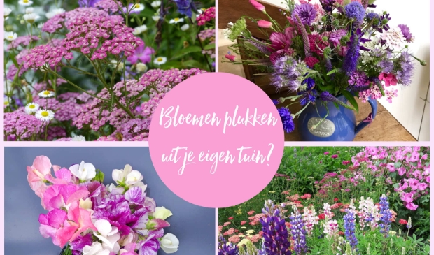 Bloemen voor je pluktuin