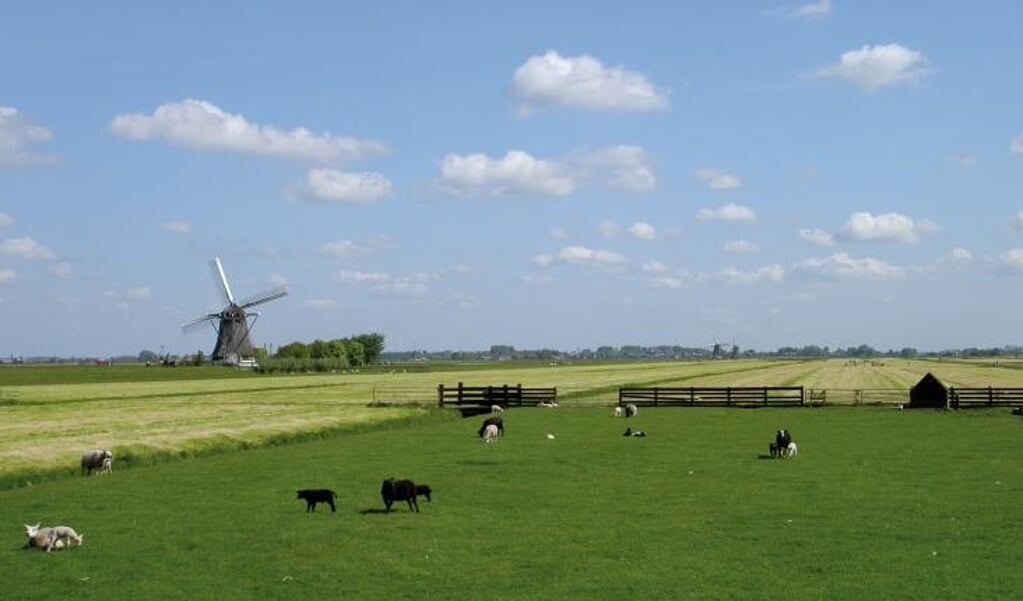 De provincie wil graag dat het goed wonen, werken en leven blijft in de landelijke gebieden van de provincie Utrecht.