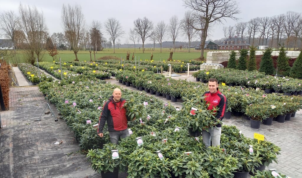 Erwin Adams (links) en Robert Broer van rhododendronkwekerij Nova Zembla, waar je coronaproof planten kunt kopen.