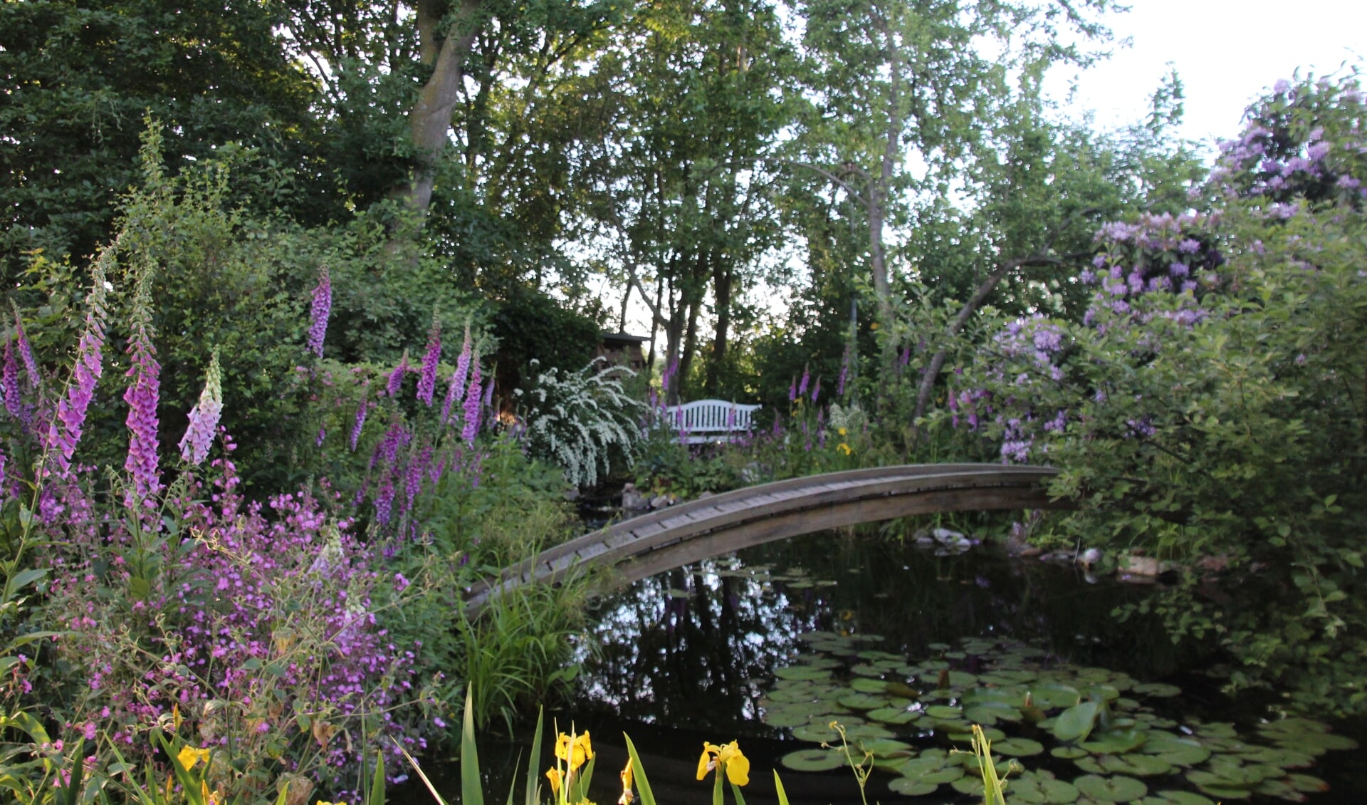 Waterbeheer in de tuin