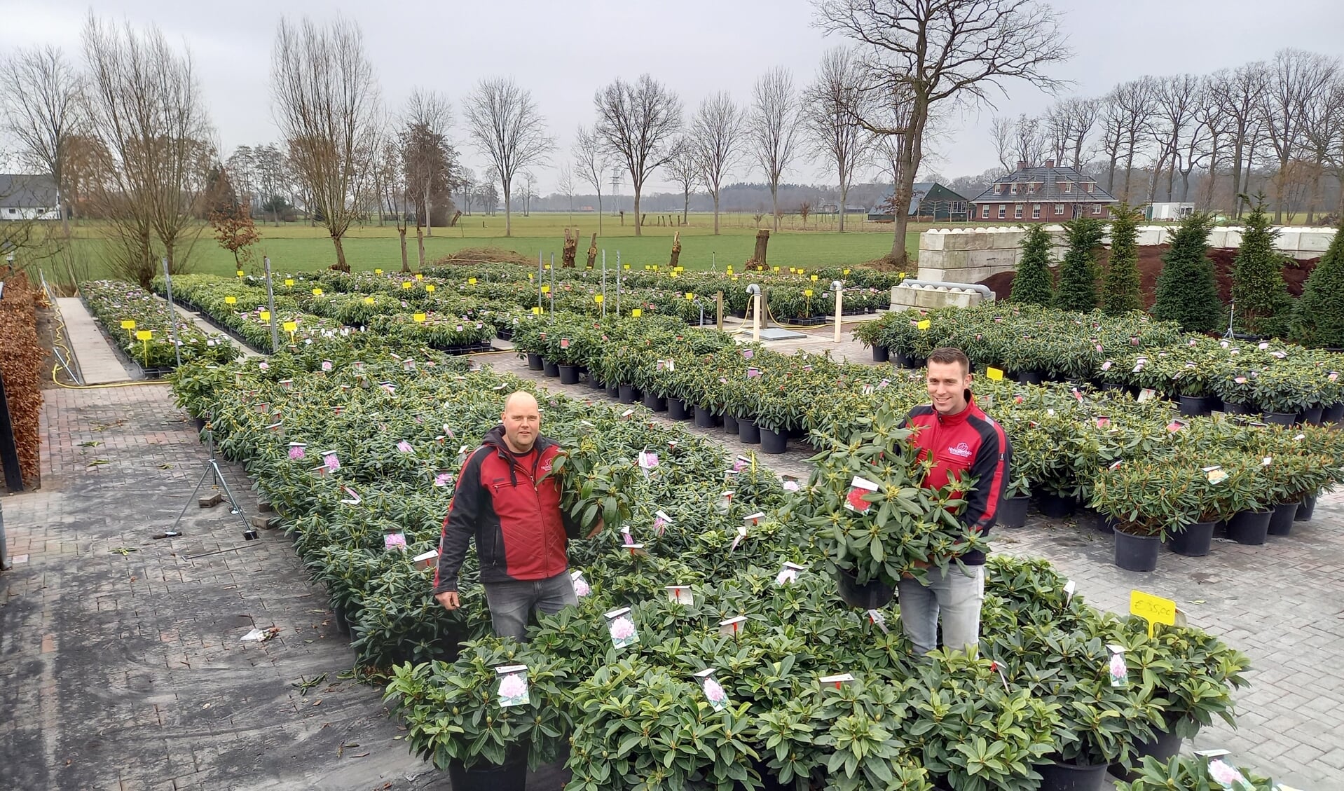 Erwin Adams (links) en Robert Broer van rhododendronkwekerij Nova Zembla.