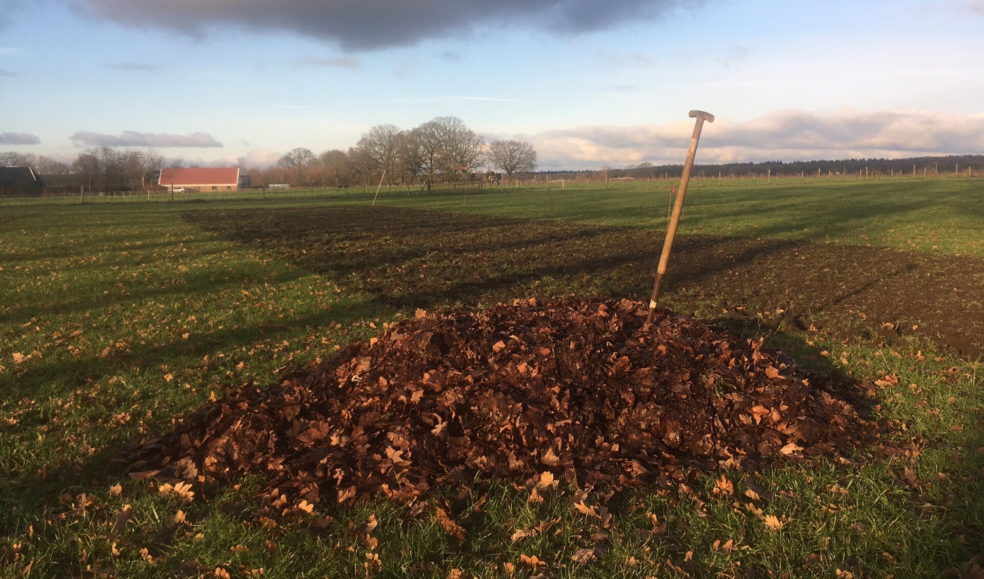 blad met riek en uitzicht bij tuinderij De Wilde Peen