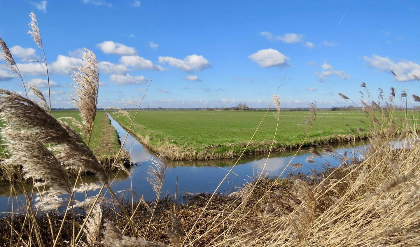 Zomerdijk, langs de Eem, kijkend naar Hilversum/Laren/Eemnes