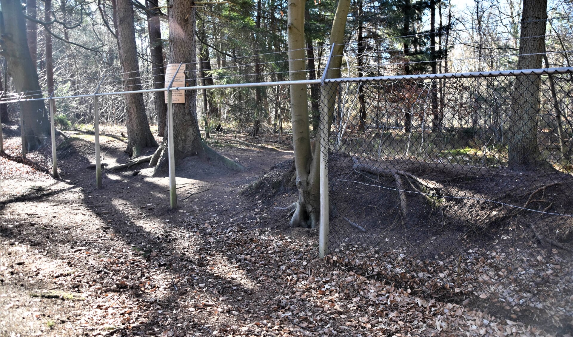 Volgens wandelaars zijn de hekken op sommige plekken opengeknipt door hondenbezitters die zich daarmee een omweg besparen tijdens een wandeling.