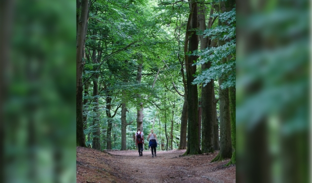 <p>Meer mensen dan ooit besloten de Utrechtse natuur financieel te steunen.</p>