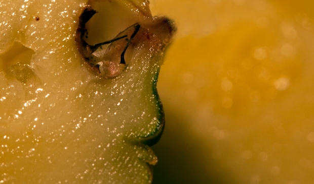 macro van fruit