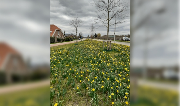 De Wijkse Kkeukenhof
