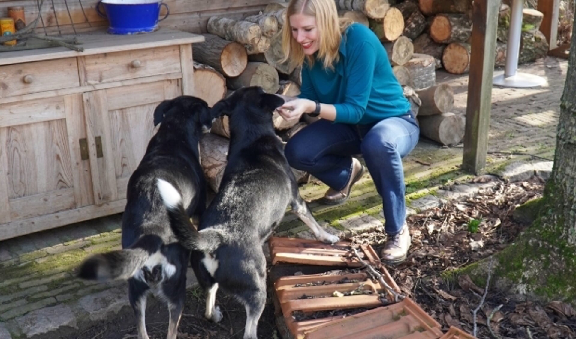 Ellen Jansen laat haar honden, Lu en Tony, smullen van de door haar zelfgemaakte hondenkoeken.