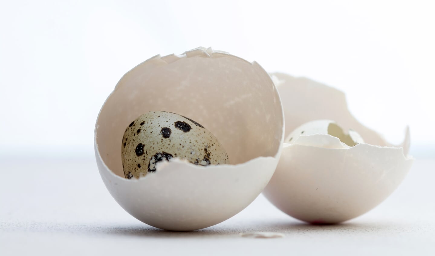 Pasen met eieren en eitjes