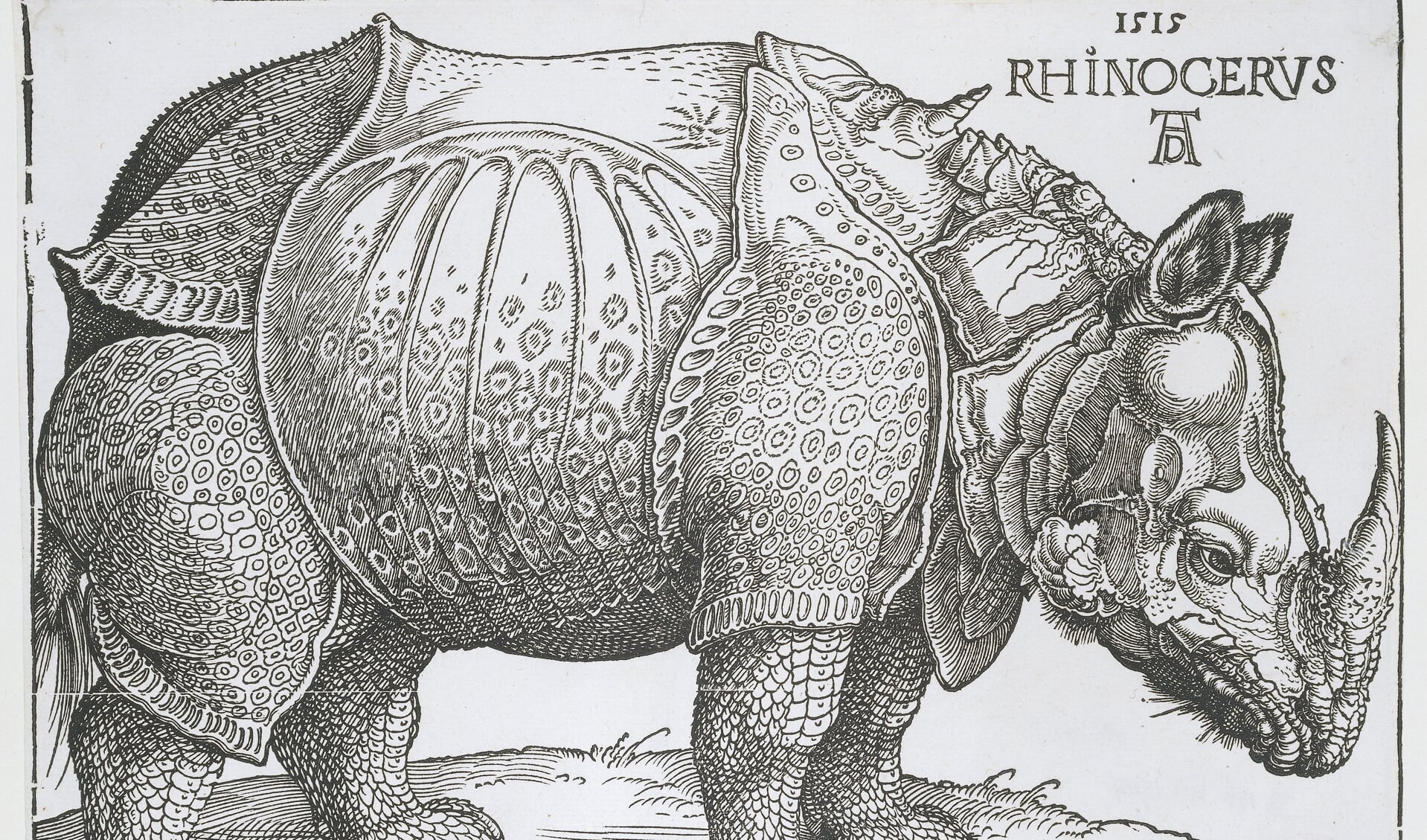 Albrecht Dürer, Rhinocerus, houtsnede, 1515