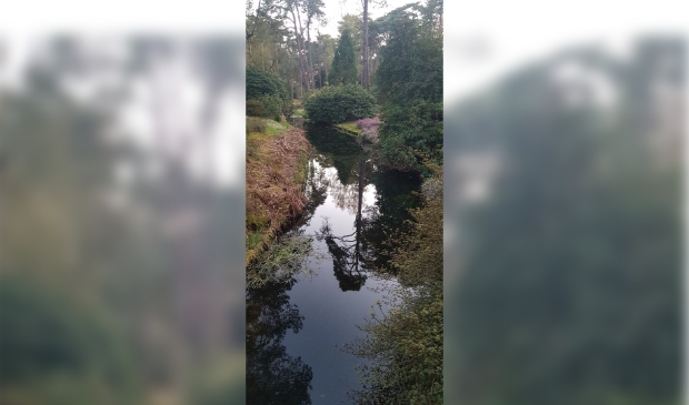 Heidetuin