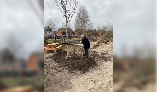 <p>Op Speelplek het Kooiveen plant wethouder Bob Bergkamp een boom als onderdeel van de metamorfose.&nbsp;</p>