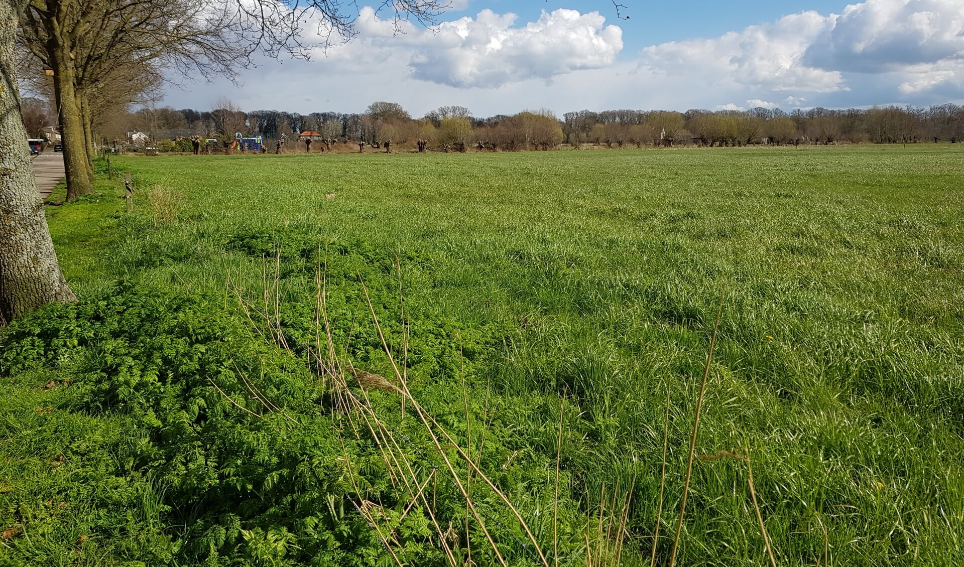 In De Nieuwe Koepel worden naar verwachting in de periode 2023-2029 circa 420 woningen gerealiseerd.