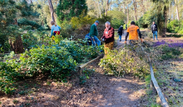 Vrijwilligers aan de slag in de Heidetuin