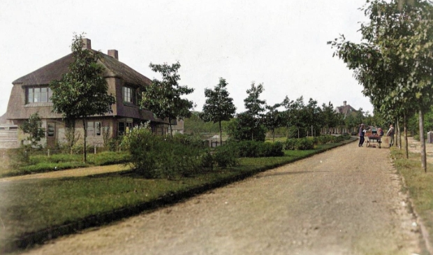 <p>De Vondellaan in 1925. </p>