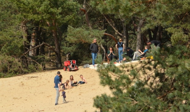 <p>Voorjaarszon op het Wekeromse Zand.</p>