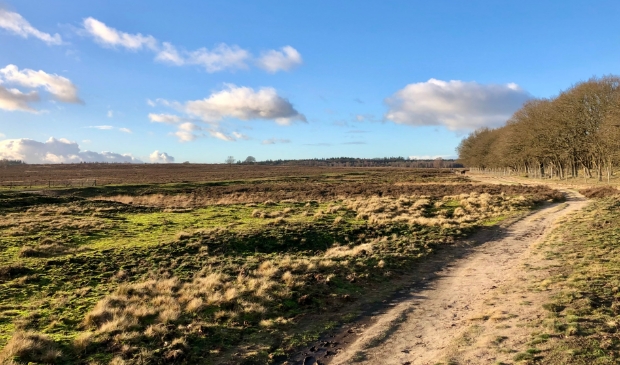 Wandelcoaching in Ede