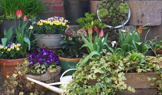<p>De kans op een tekenbeet in eigen tuin is niet gering. </p>
