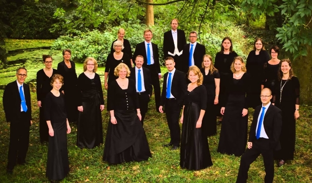 <p>Canticum Amicorum ontvang 750 euro</p>