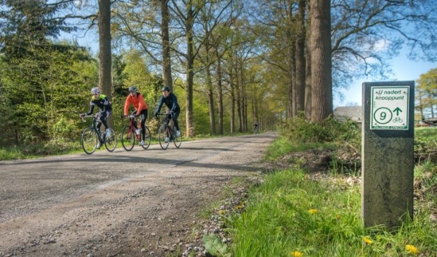 De belevingsapp Mees verzamelt gegevens als luchtkwaliteit, drukte, geluid en groen.
