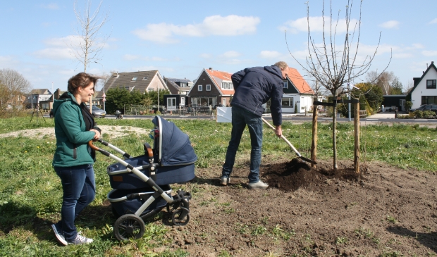 <p>Eén boom is door een jong Rijsenhouts gezin met baby geplant en geadopteerd</p>