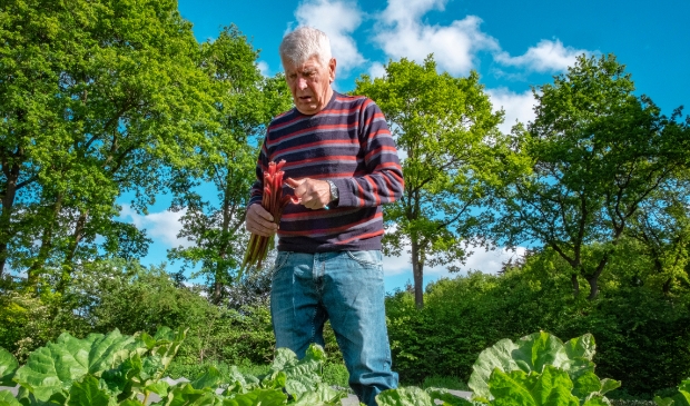 Aan het werk in de tuin van Makandra