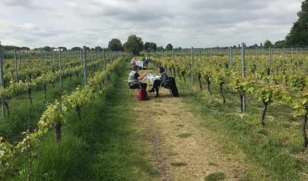 <p>Champagne-ontbijt in wijngaard de Amsteltuin tijdenws de vorige editie van '24H Amstelveen'.</p>