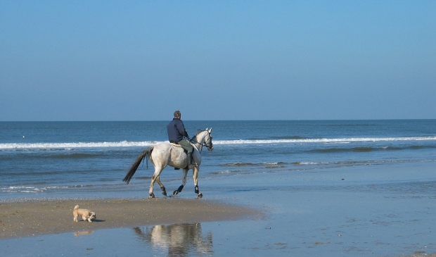 <p>Per strand gelden er verschillende data waarbinnen het verboden is om paard te rijden of de hond los te laten lopen.</p>