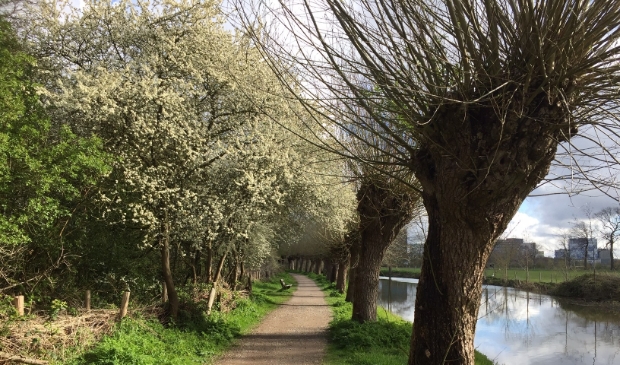 Langs de Kromme Rijn t.h.v. de A27.