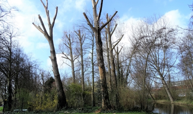 Uitgesteld