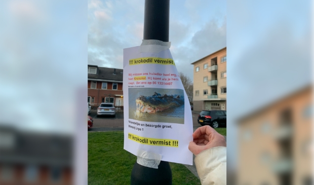 Krokodil vermist op eerste aprildag