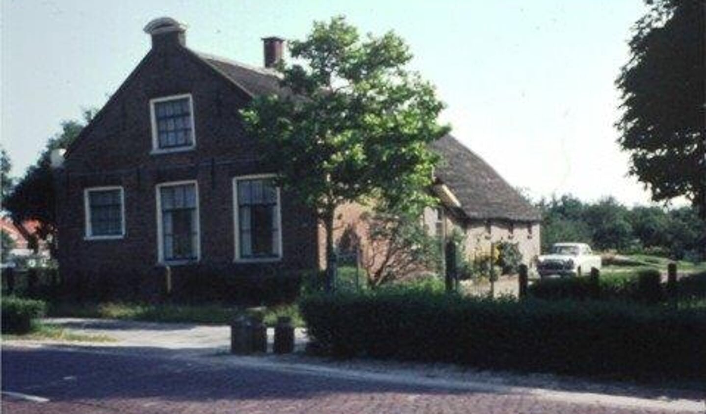 Boerderij Van Vliet met rechts de bewuste kastanjeboom.