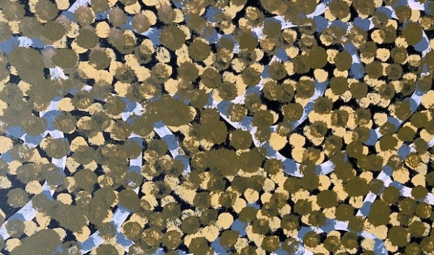<p>Bush tomato’s van Emily Kame Kngwarreye.</p>