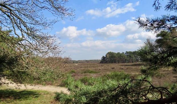1 Blaricummerheide en Tafelbergheide