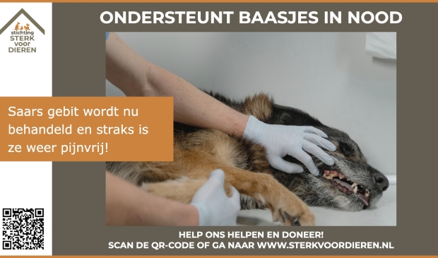 Sterk voor Dieren ondersteunt baasjes in nood